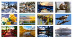 2017 calendar winners