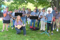 Unlikely-Strummers