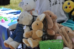 DSC_0206-Copy-16