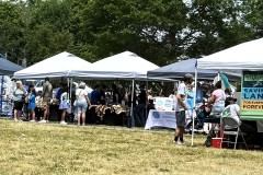 row-of-tents-taunton-river-festival-june-14-2026
