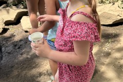 stocking-shad-taunton-river-festival-June-14-2026-Copy-2