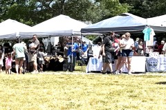tents-taunton-river-festival-june-14-2026-Copy
