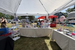 vendor-undknown-1-Taunton-River-Festival-June-14-2026