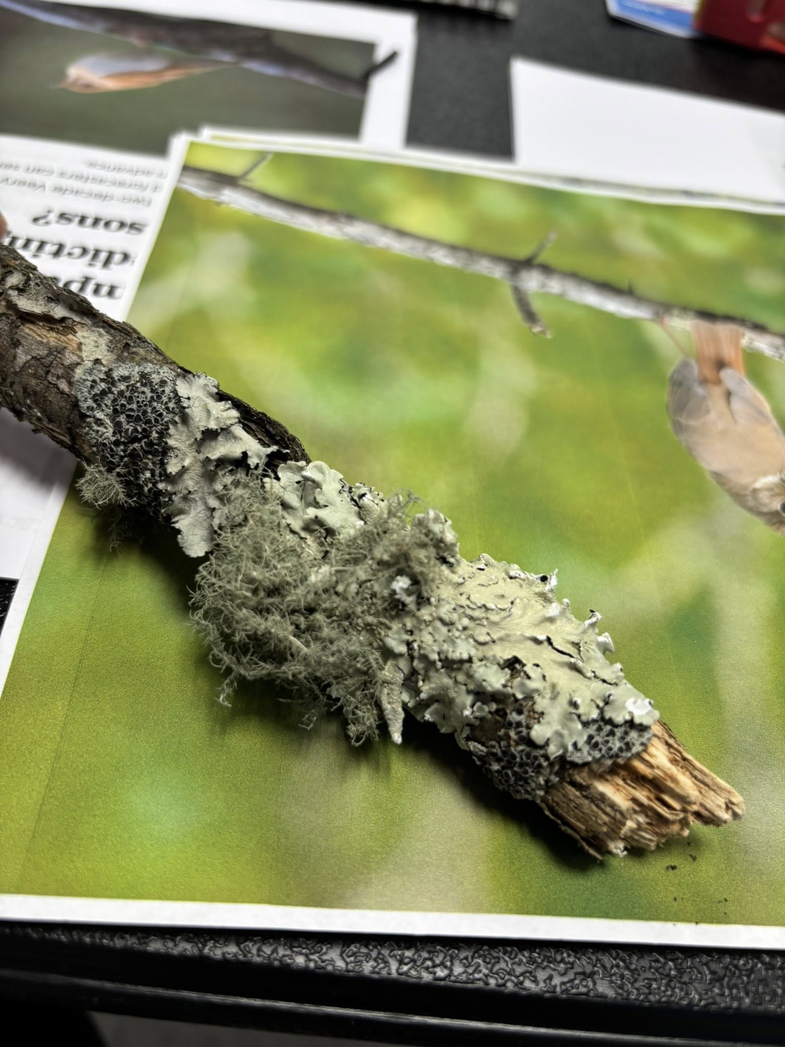 618822873_1330802742420153_4031754262695118075_n