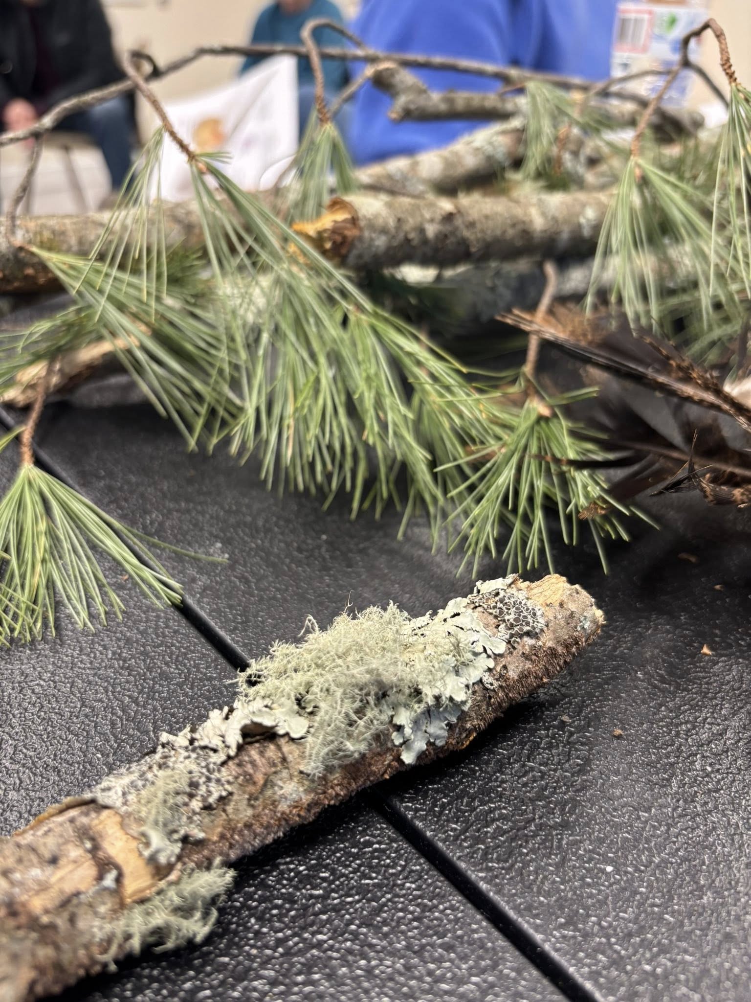 622069505_1330802949086799_6492580931665726975_n