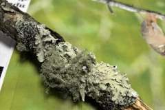 618822873_1330802742420153_4031754262695118075_n