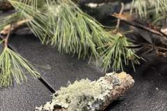 622069505_1330802949086799_6492580931665726975_n