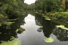 taunton_rvr_bedford_st_9_11_16