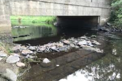 2016_Nemasket_Rvr_murdock_st_bridge_9_11_16