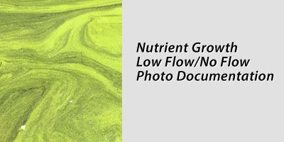 Nutrient Growth Low Flow/No Flow Photo Documentation