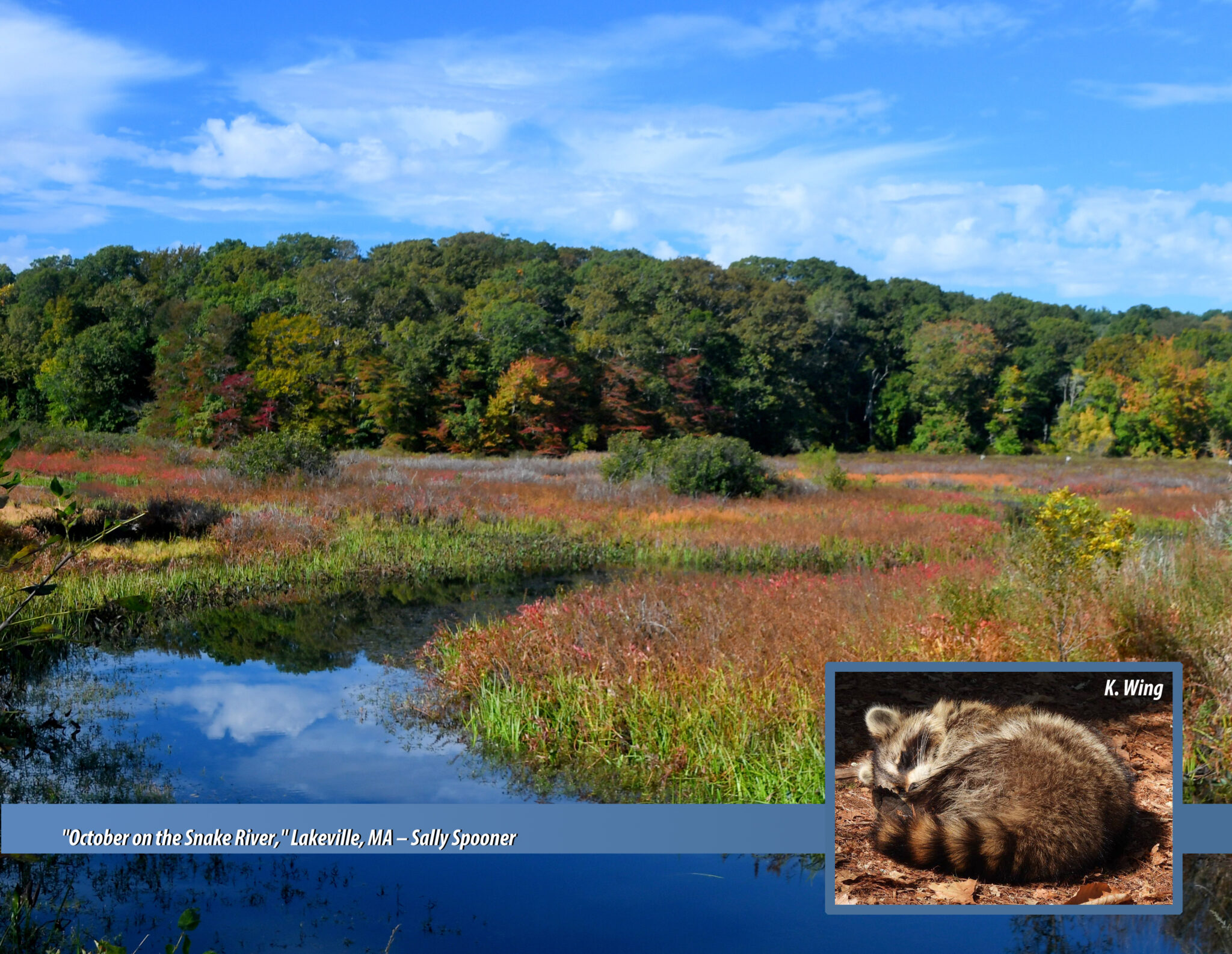 our-annual-taunton-river-tide-calendar-taunton-river-watershed-alliance