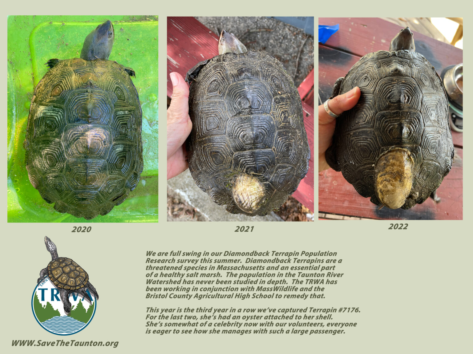 Taunton River Watershed Alliance A Voice for the River since 1988