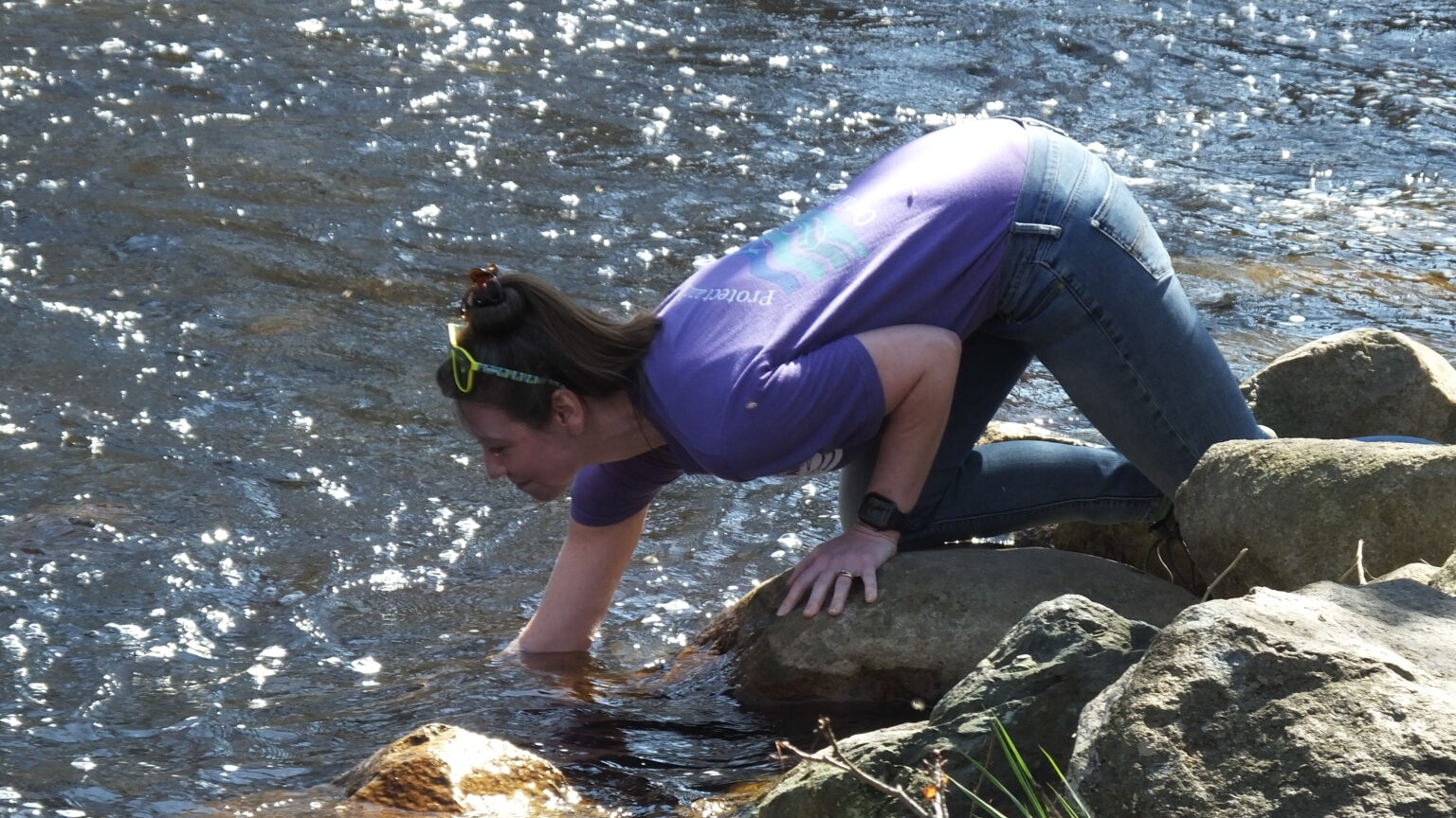 Annual Herring Run Taunton River Watershed Alliance