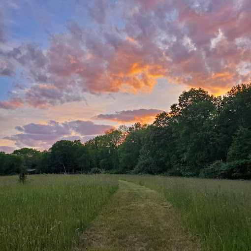 Guided Walk Westville Conservation Area Taunton River Watershed Alliance