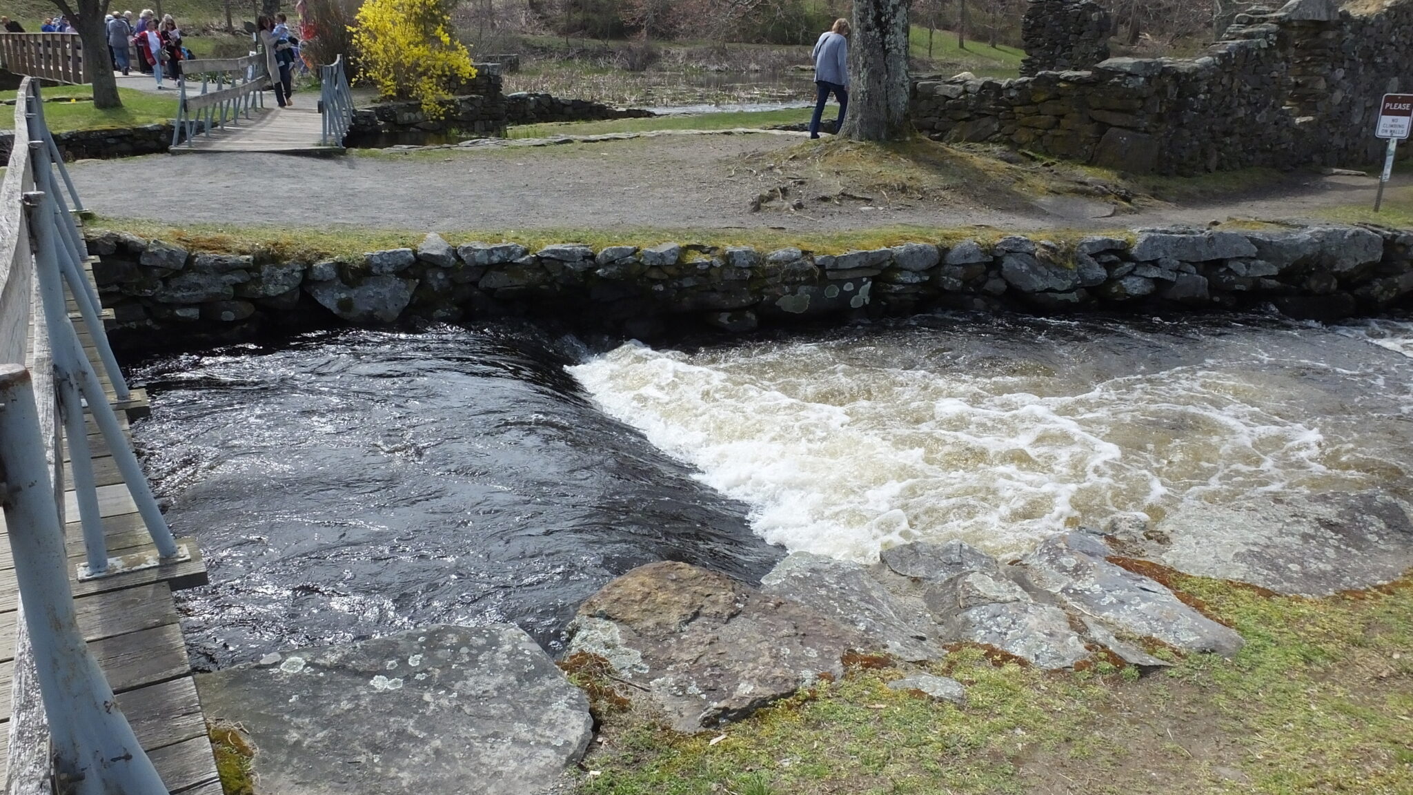 Herring Life Cycle Tour Taunton River Watershed Alliance